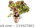 Illustration of leaf lettuce served in a cup 133427461