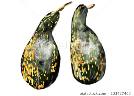 Nanbu Ichiro pumpkin illustration Nanbu Ichiro pumpkin illustration 133427463