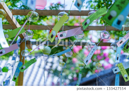 Summer maple leaves at Hotokuji Temple 133427554