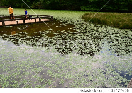 花卷地區公園銀河之森 花卷地區公園銀河之森 133427606