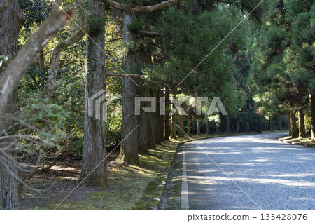 武藏野皇宮入口 133428076