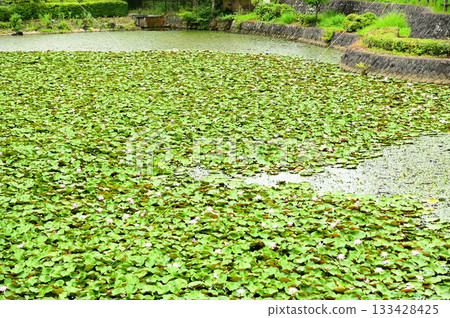 花卷地區公園銀河之森 花卷地區公園銀河之森 133428425