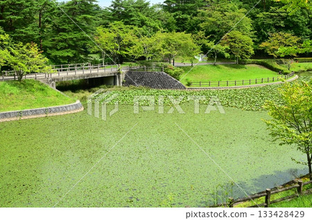 花卷地區公園銀河之森 花卷地區公園銀河之森 133428429