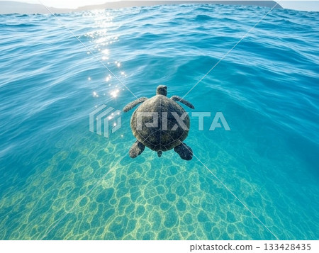 一隻海龜在波光粼粼的海洋中游弋（人工智慧產生的圖像） 133428435