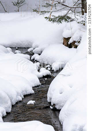 A stream between snow-covered banks in the forest in early spring. A stream between snow-covered banks in the forest in early spring. 133428704