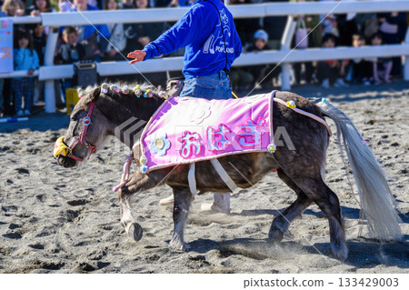 篠崎小馬樂園,東京江戶川區,50週年小馬節,萩木表演 篠崎小馬樂園,東京江戶川區,50週年小馬節,萩木表演 133429003