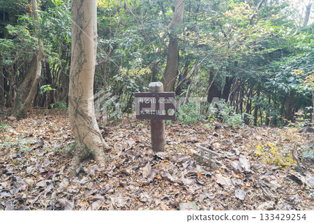 尼賀嶽山頂（神奈川縣相模原市） 133429254