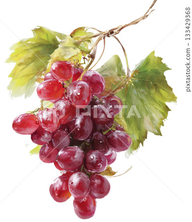 grape grape 133429368