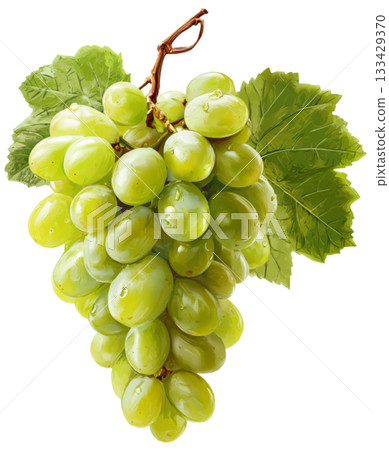 grape 133429370