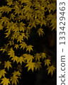 秋天的落葉 133429463