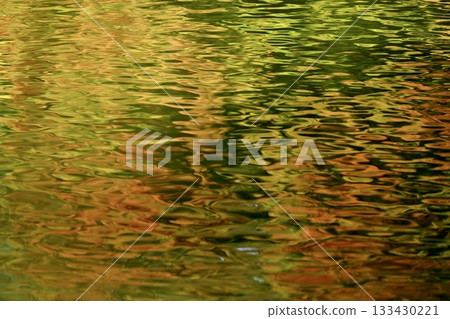 Reflection of autumn leaves 133430221