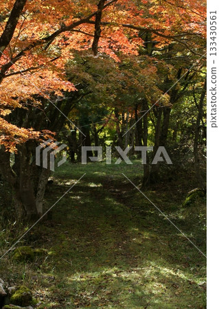 四季漫步:冬季、越畑故鄉、秋季賞楓 四季漫步:冬季、越畑故鄉、秋季賞楓 133430561