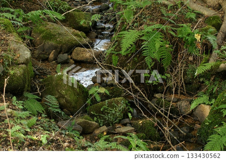 Four Seasons Walks: Winter, Koshihata Furusato Village, Autumn Leaves Four Seasons Walks: Winter, Koshihata Furusato Village, Autumn Leaves 133430562