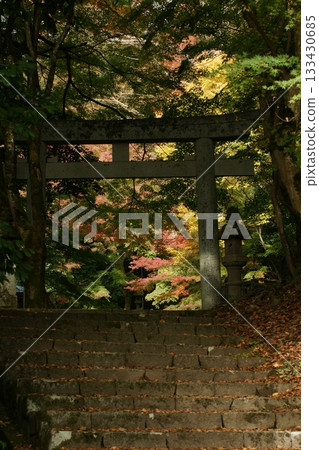 Tottori Shiki的步行秋天Ch訪Su訪神社 Tottori Shiki的步行秋天Ch訪Su訪神社 133430685