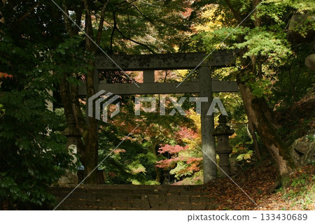 Tottori Shiki的步行秋天Ch訪Su訪神社 Tottori Shiki的步行秋天Ch訪Su訪神社 133430689