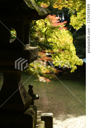 Tottori Shiki's Walk Autumn Chito Suwa Shrine 133430849