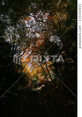 Tottori Shiki的步行秋天Ch訪Su訪神社 Tottori Shiki的步行秋天Ch訪Su訪神社 133430931