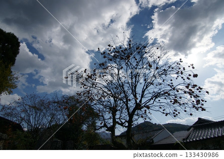 Tottori Shiki的步行秋天Ch訪Su訪神社 133430986
