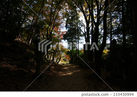 Tottori Shiki的步行秋天Ch訪Su訪神社 133430994