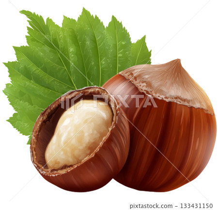 hazelnut hazelnut 133431150
