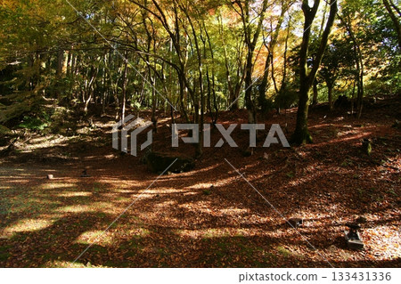 Tottori Shiki的步行秋天Ch訪Su訪神社 Tottori Shiki的步行秋天Ch訪Su訪神社 133431336