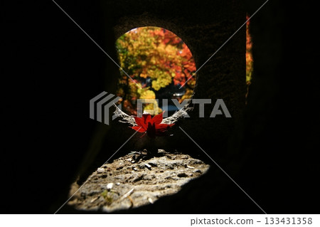 Tottori Shiki's Walk Autumn Chito Suwa Shrine Tottori Shiki's Walk Autumn Chito Suwa Shrine 133431358