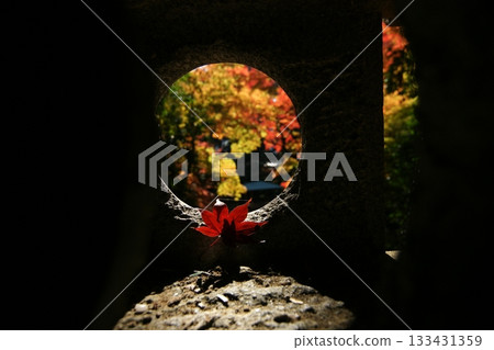 Tottori Shiki的步行秋天Ch訪Su訪神社 Tottori Shiki的步行秋天Ch訪Su訪神社 133431359