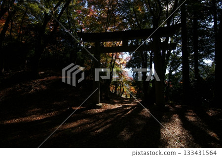 Tottori Shiki的步行秋天Ch訪Su訪神社 Tottori Shiki的步行秋天Ch訪Su訪神社 133431564