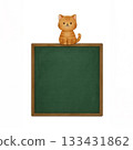 Sitting brown cat and blackboard 133431862