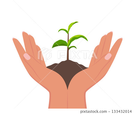 Hand holding small plant with soil. Hands caring about plant leaf. Environment and ecology concept. Eco friendly development, nature conservation. Organic seedling protection. Vector illustration. Hand holding small plant with soil. Hands caring about plant leaf. Environment and ecology concept. Eco friendly development, nature conservation. Organic seedling protection. Vector illustration. 133432014