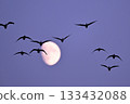 Geese in the Moon ⑧ (Hokkaido) 133432088