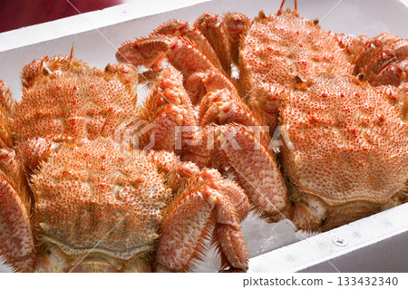 發蟹 發蟹 133432340