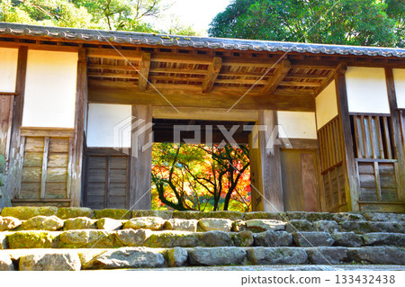 Autumn Akizuki Castle Nagayamon 133432438