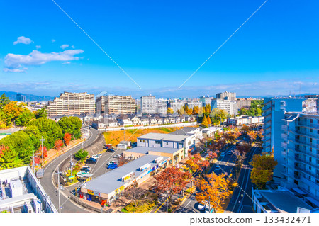Hirakata cityscape and autumn leaves of Zelkova trees Hirakata cityscape and autumn leaves of Zelkova trees 133432471