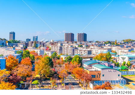 Hirakata cityscape and autumn leaves of Zelkova trees Hirakata cityscape and autumn leaves of Zelkova trees 133432498