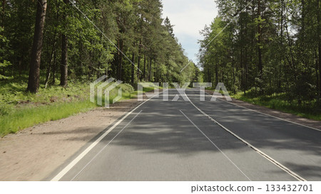 driving plate through forest in sunny summer day 133432701