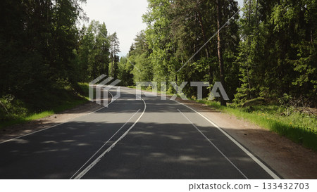 driving plate through forest in sunny summer day driving plate through forest in sunny summer day 133432703