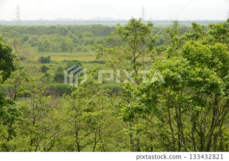 釧路濕原（北斗遺址週邊/北海道釧路市） 133432821