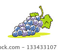 手繪葡萄插圖 133433107