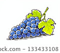 手繪葡萄插圖 133433108