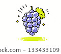 手繪葡萄插圖 133433109
