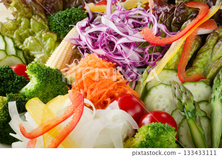 vegetable salad	 133433111