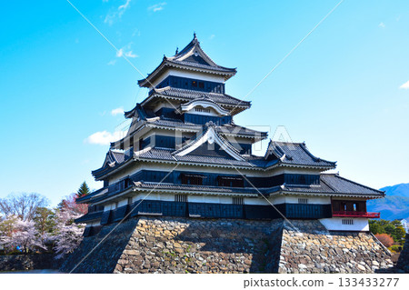 Spring, cherry blossoms, cherry blossom snow, Matsumoto Castle 133433277
