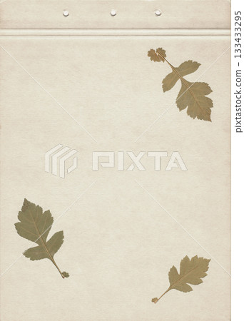 Dried hawthorn leaves on vintage beige paper background, botanical herbarium artwork with organic foliage texture, natural eco composition for rustic decor, earthy aesthetic and plant specimen design 133433295
