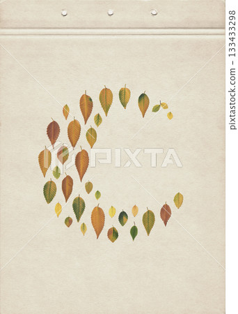 Colorful autumn elm leaves on vintage light brown paper background, botanical flat lay composition for natural seasonal design 133433298