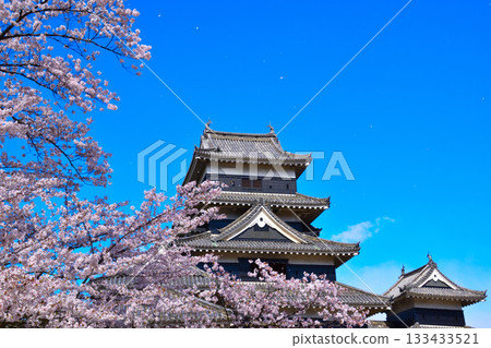 春季櫻花松本城 133433521