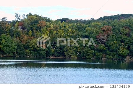 Early autumn wind from the distant Lake Ippeki 133434139