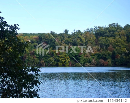 Early autumn wind from the distant Lake Ippeki Early autumn wind from the distant Lake Ippeki 133434142