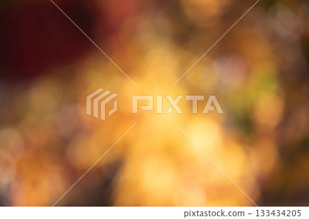 A blurred background image of autumn leaves shining through the light 133434205