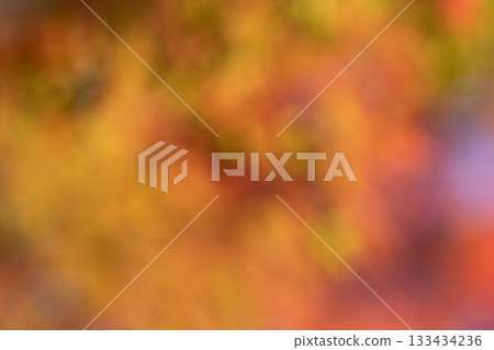 A blurred background image of autumn leaves shining through the light 133434236